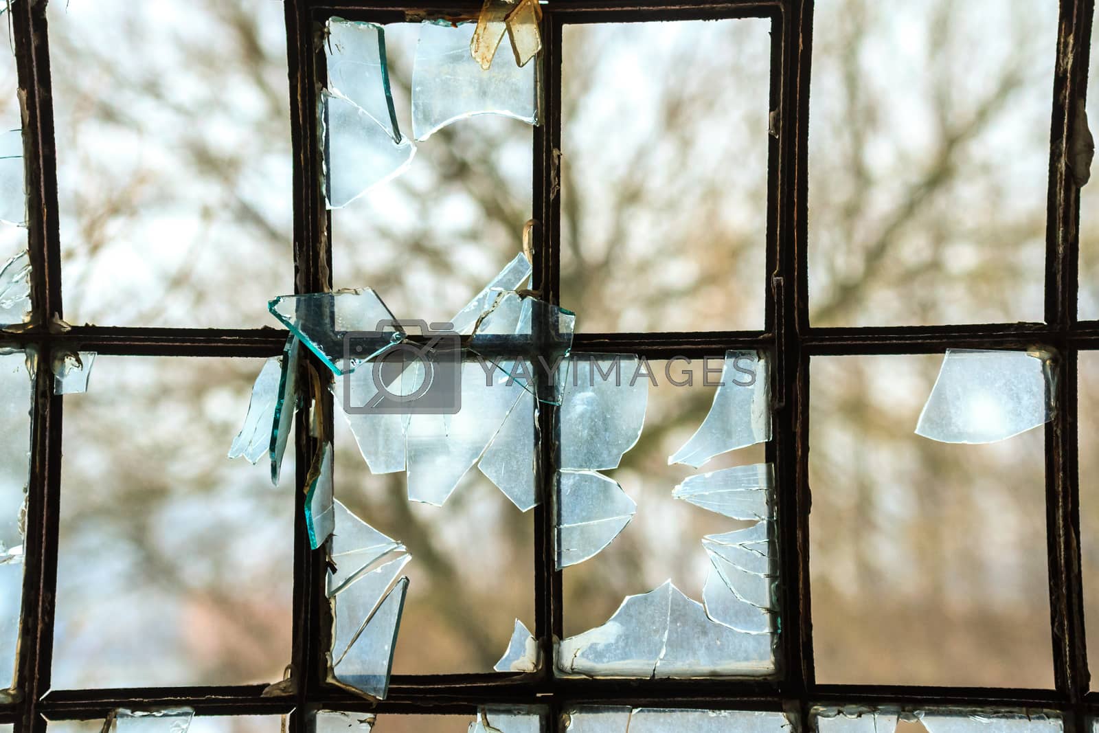 Royalty free image of windows by TSpider