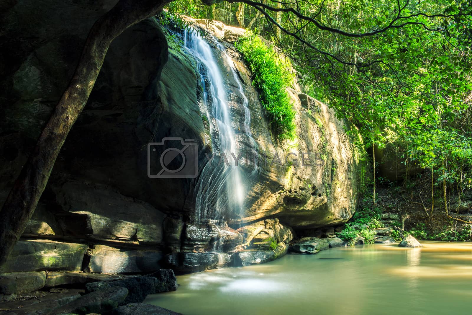 Royalty free image of Serenity Falls by artistrobd