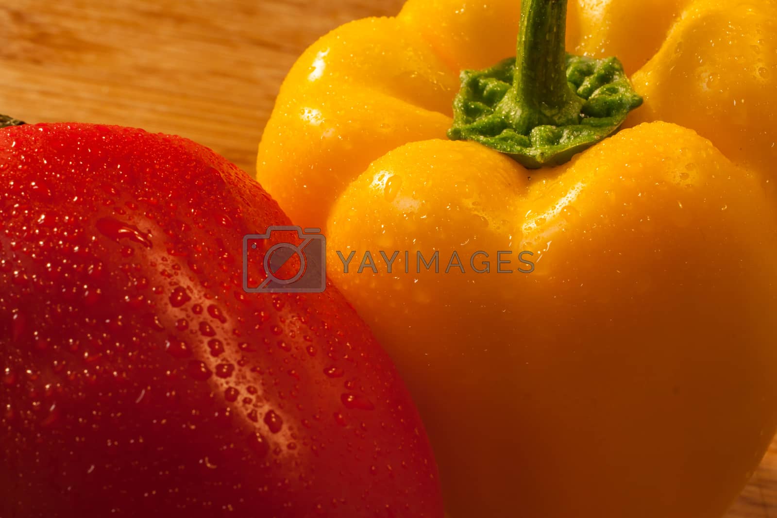 Royalty free image of Bell Peppers by TravisPhotoWorks