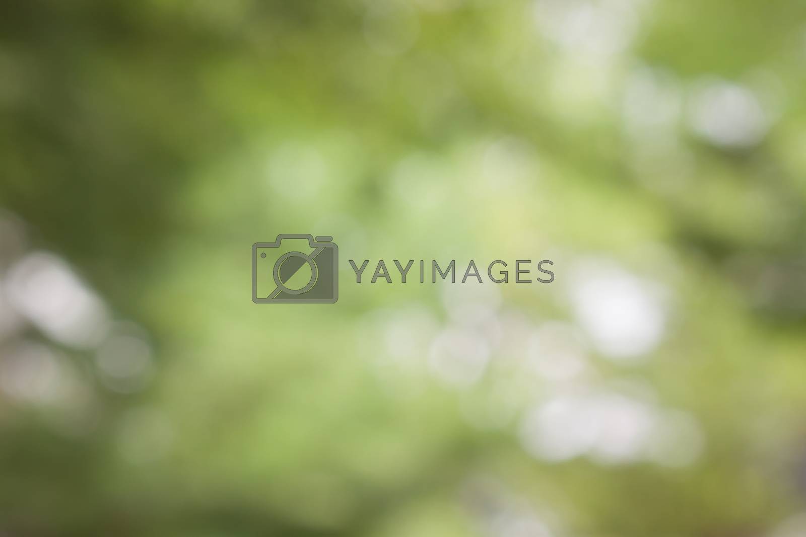 Royalty free image of Bokeh light  background by worrayuth