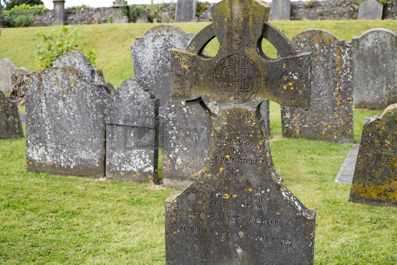 Royalty free image of headstones at ancient graveyard by morrbyte