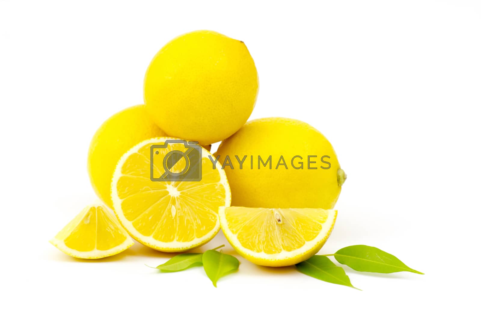 Royalty free image of fresh lemons by miradrozdowski