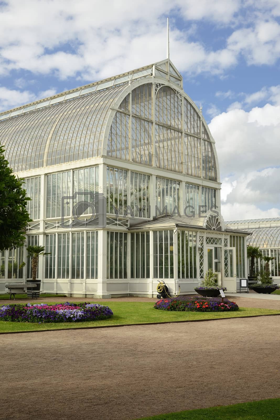 Royalty free image of Palm House by a40757