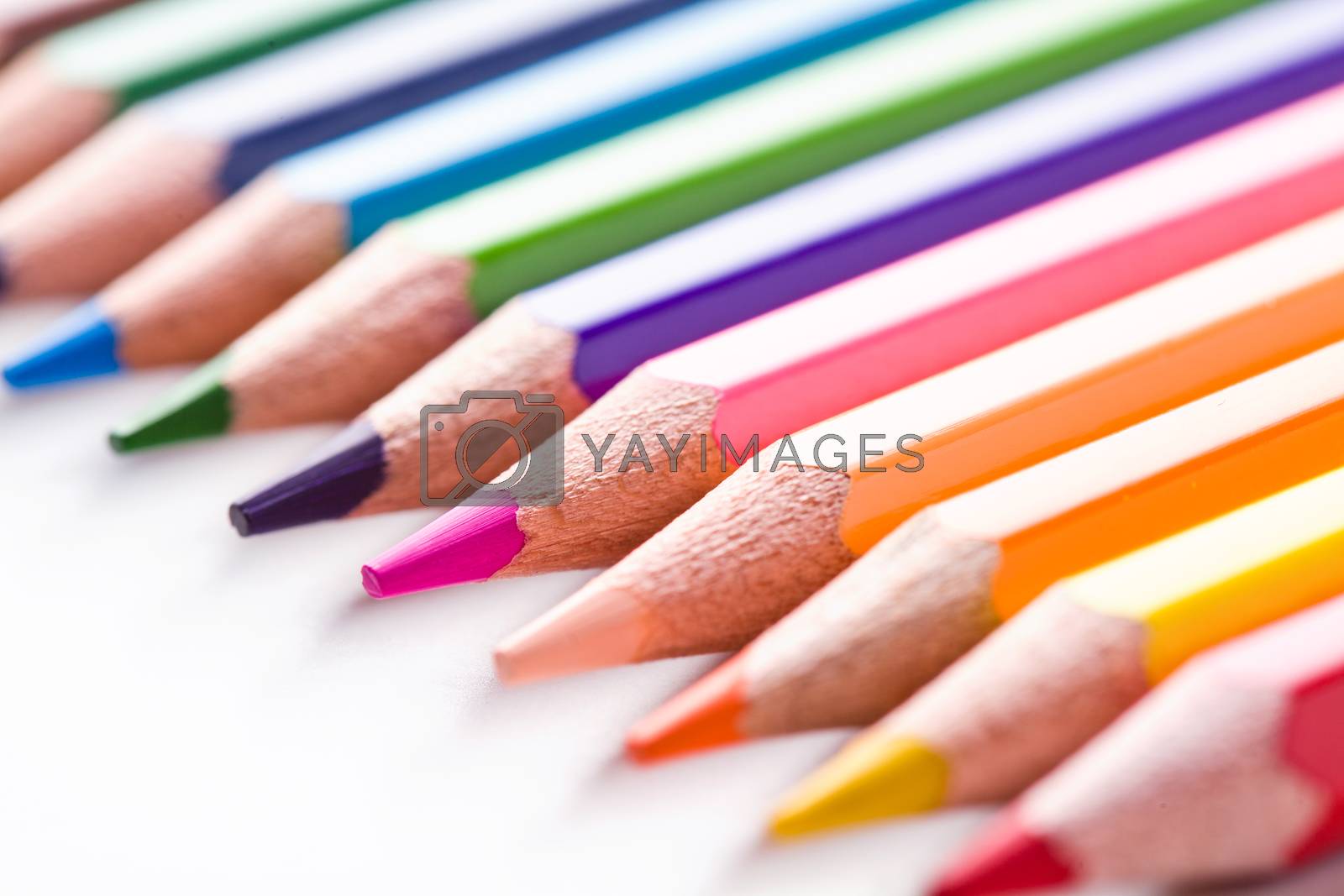 Royalty free image of Color Wooden Pencils by mpessaris