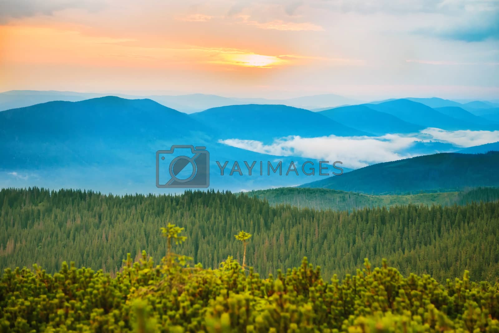 Royalty free image of Sunset in the blue mountains by vapi
