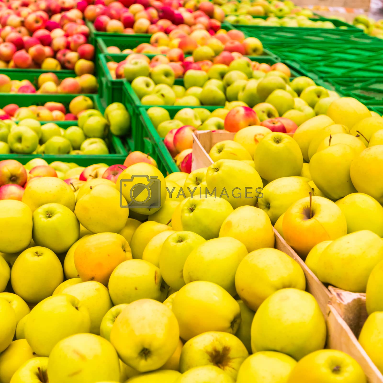 Royalty free image of Red and yellow fresh apples by vapi