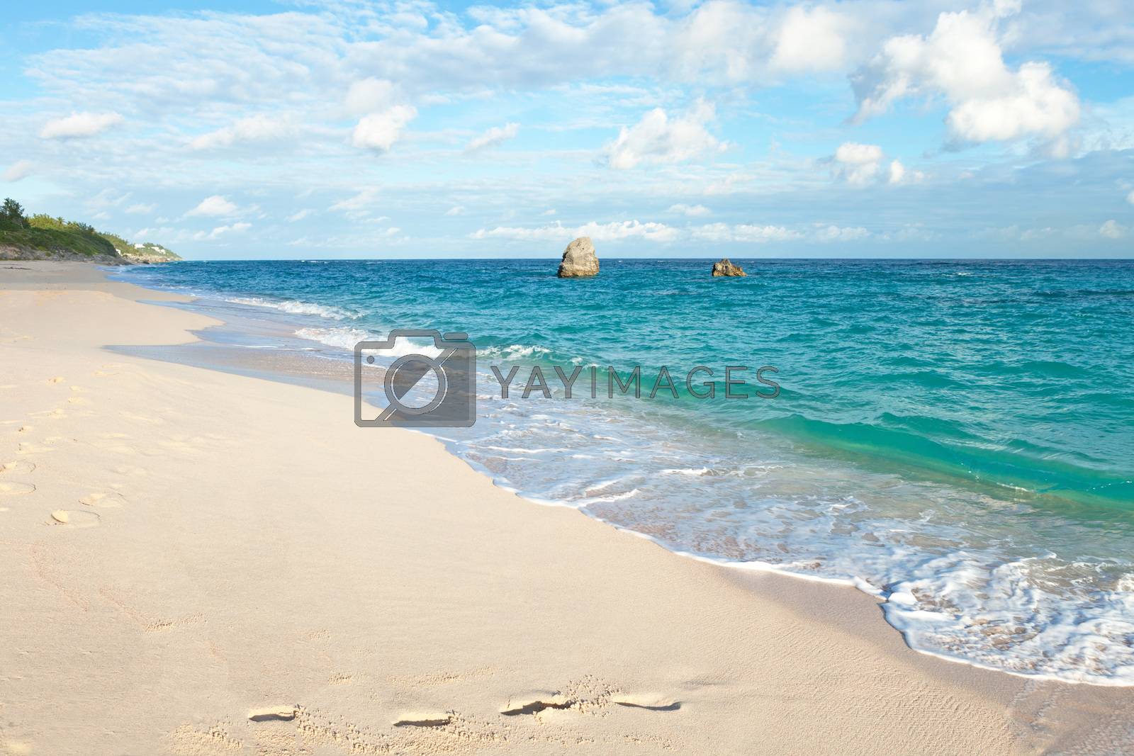 Royalty free image of Warwick Long Bay Beach Bermuda by graficallyminded