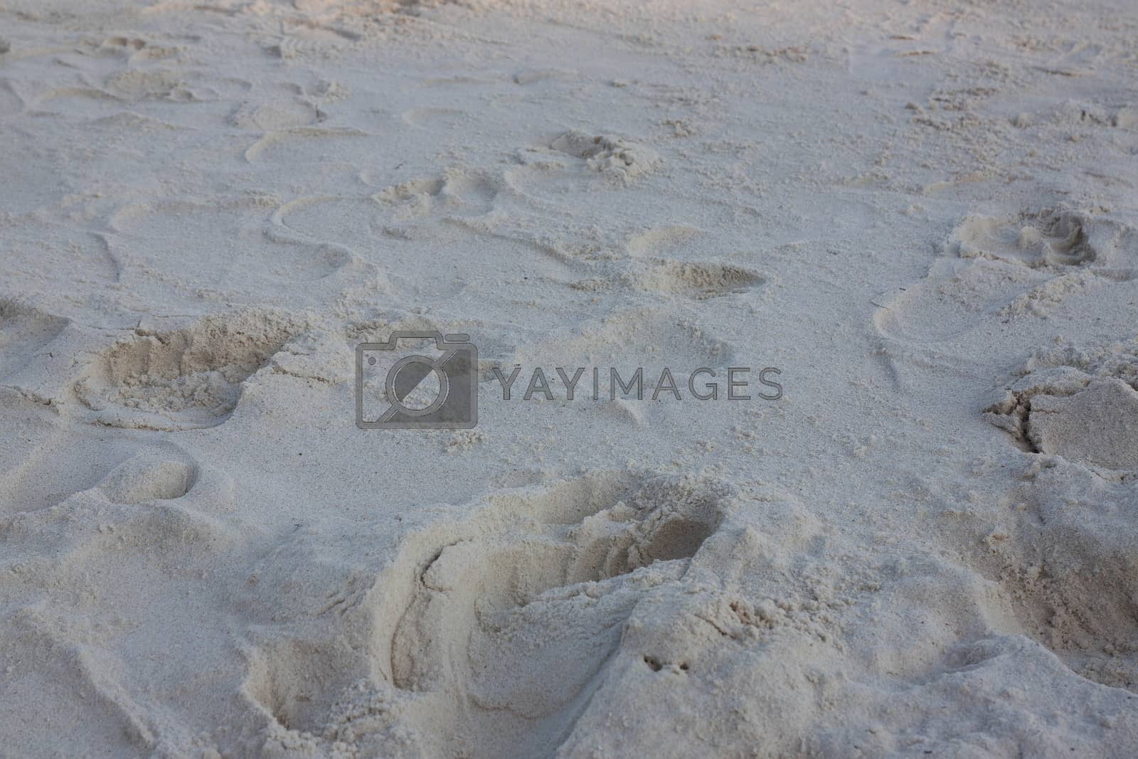 Royalty free image of Footprints  by primzrider
