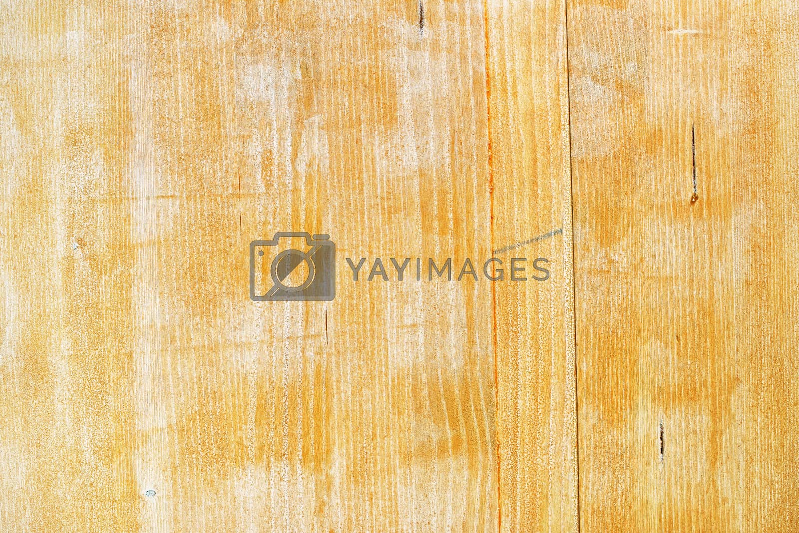 Royalty free image of Hardwood board texture painted with acrylic paint by stevanovicigor