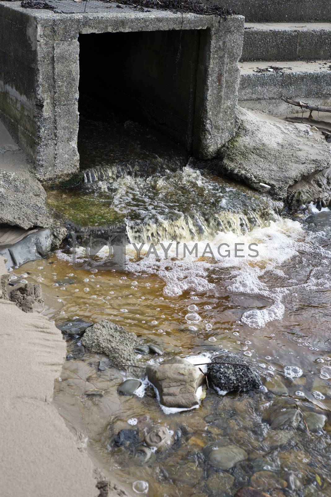 Royalty free image of water flowing from a storm drain by morrbyte