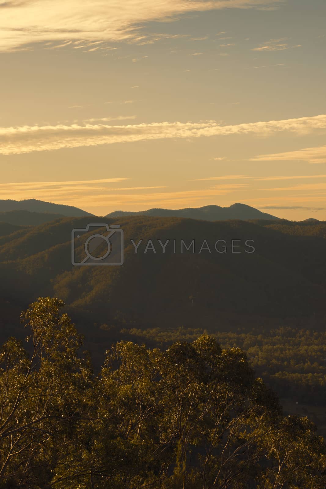 Royalty free image of View from Mount Nebo near Brisbane, Queensland. by artistrobd