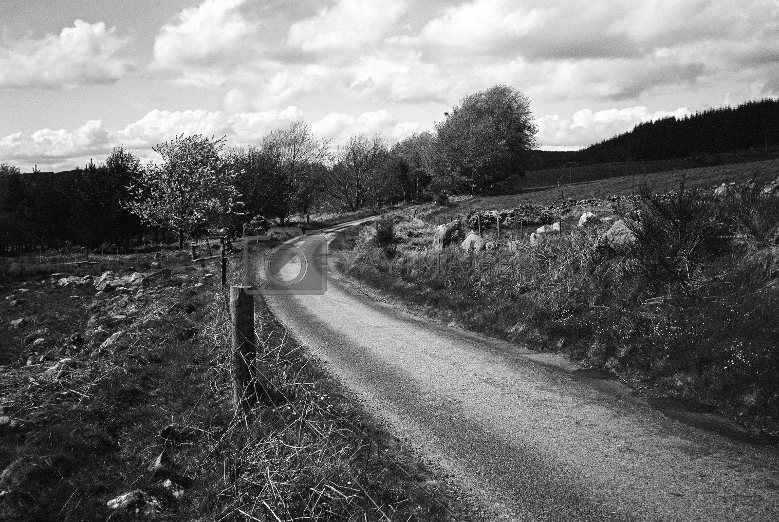 Royalty free image of Road through meadow by megalithicmatt