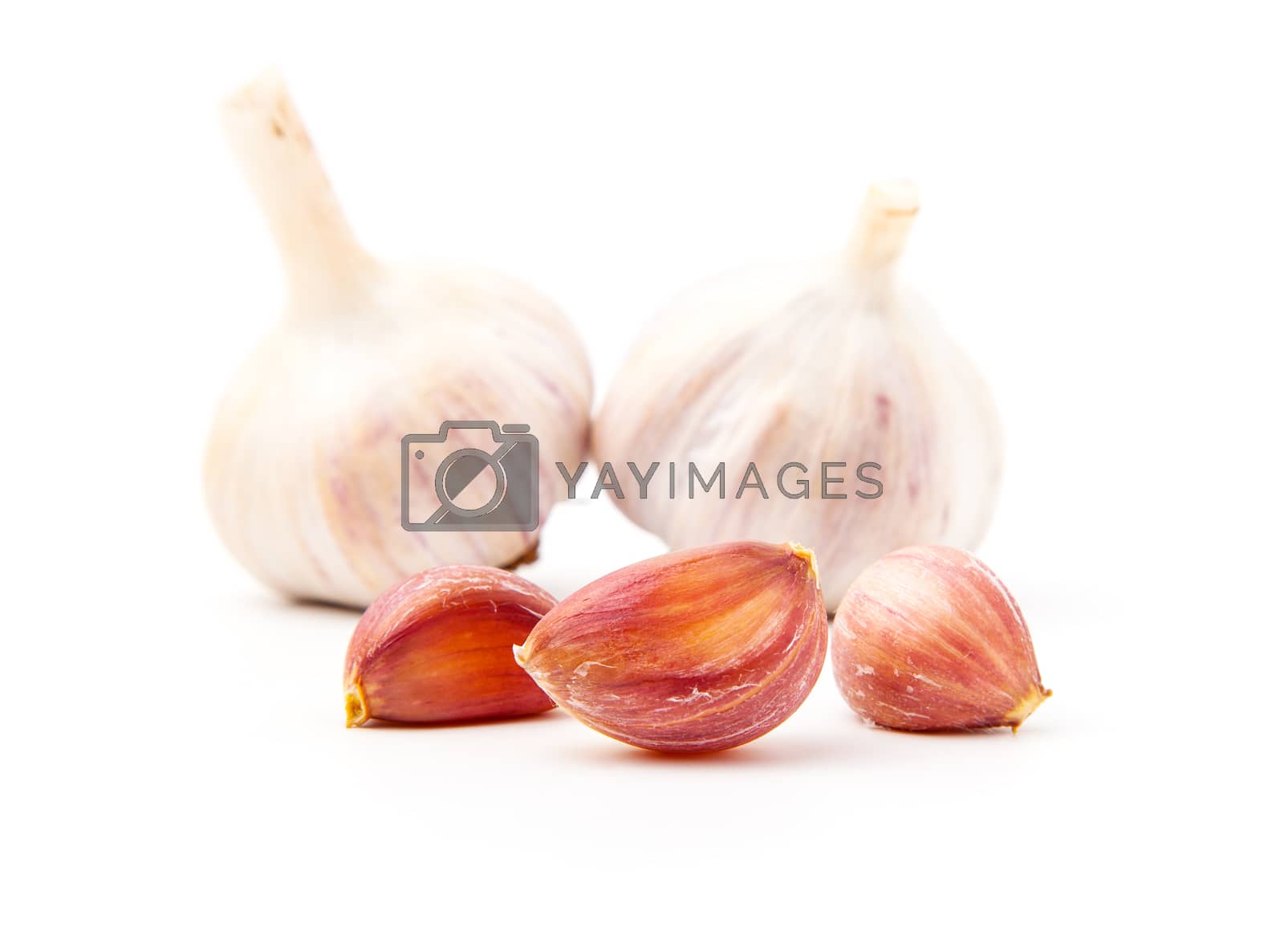 Royalty free image of Fresh garlic isolated on white background by motorolka