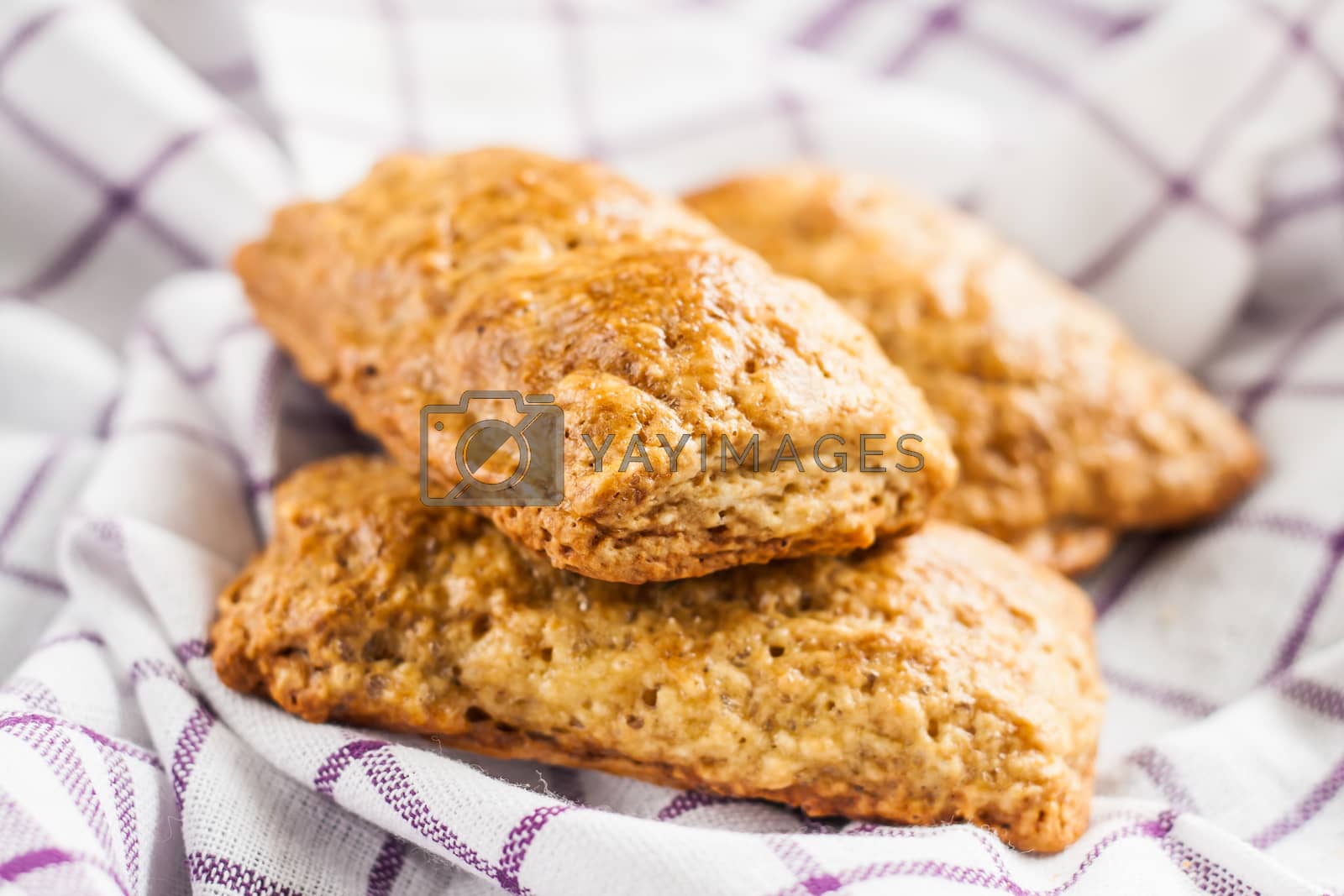 Royalty free image of baked pastry stuffed with chocolate lying on a napkin by Tanacha