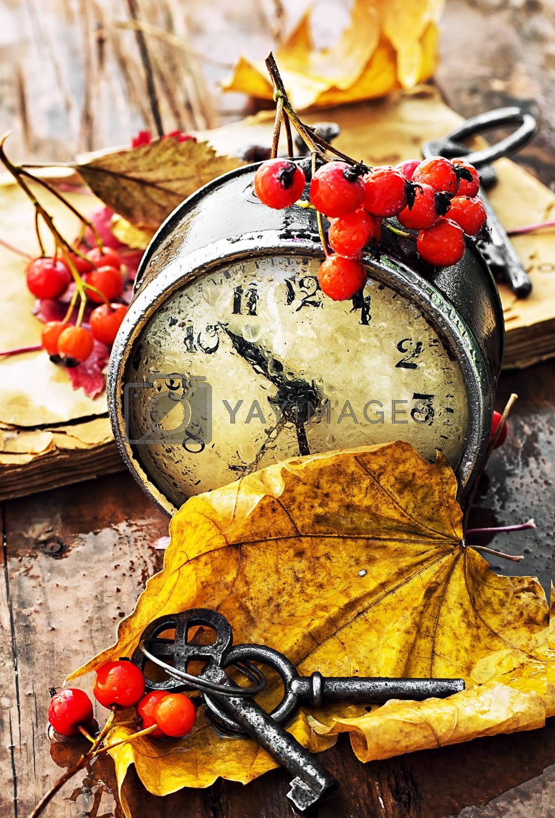 Royalty free image of Alarm clock and fallen leaves by LMykola