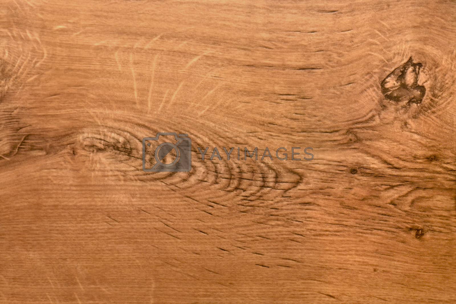 Royalty free image of Wood  texture by Goruppa