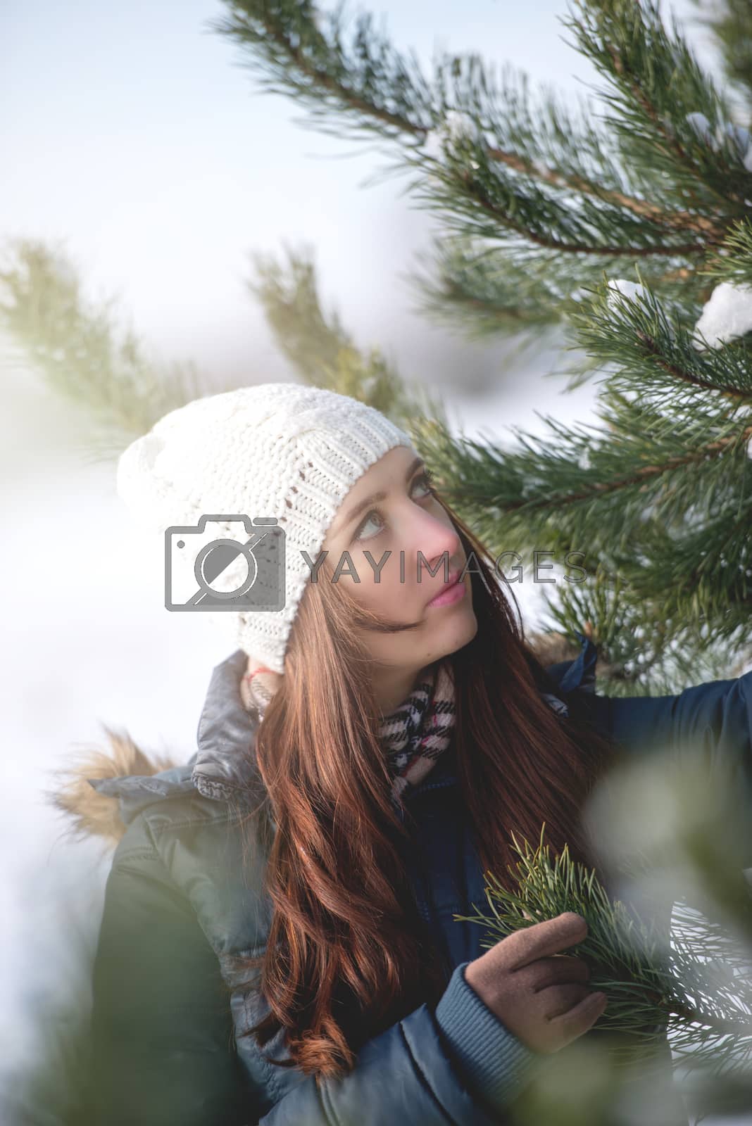 Royalty free image of Woman in winter scenery by Brejeq
