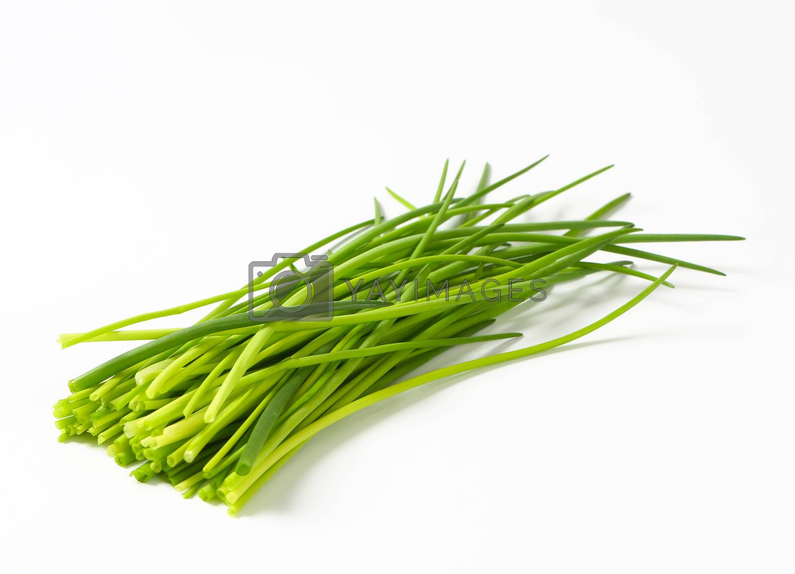 Royalty free image of Fresh chives by Digifoodstock