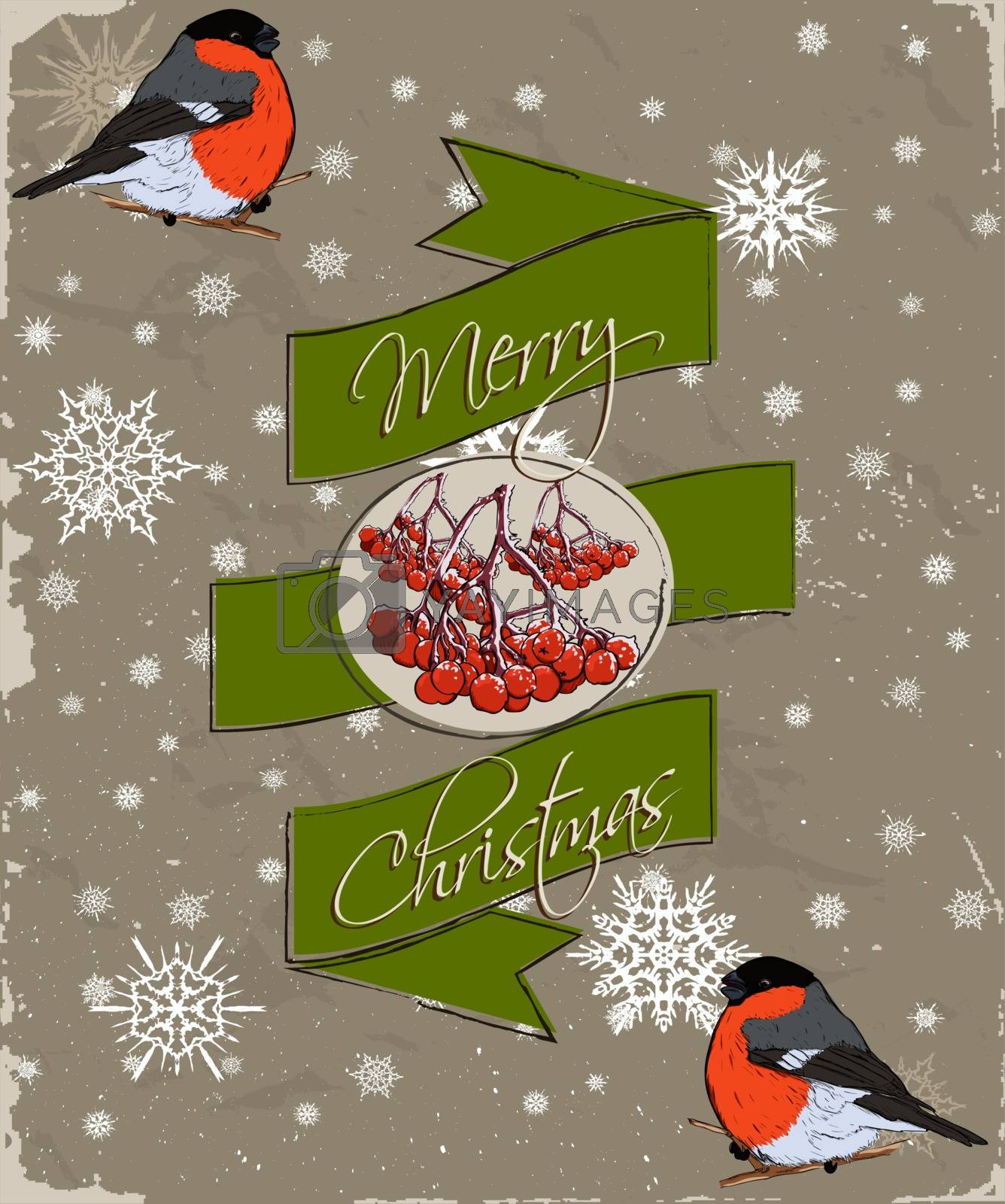 Royalty free image of Christmas card with bullfinch. by tari767