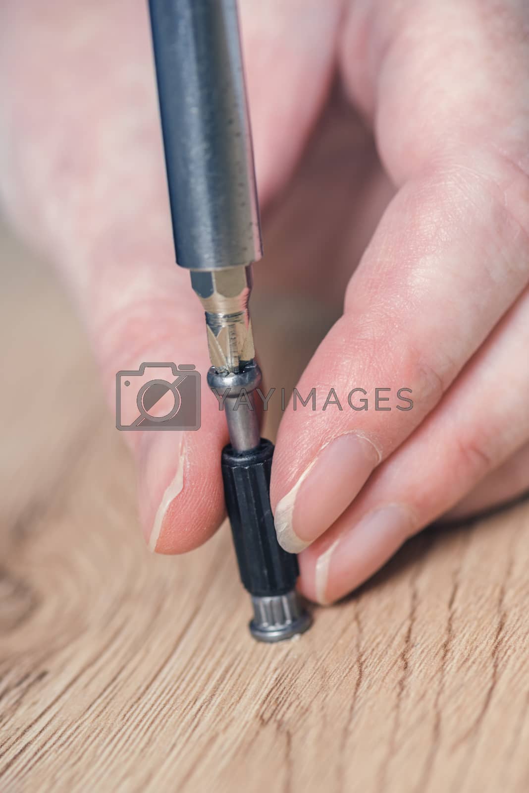 Royalty free image of Woan assembling furniture at home, hand with screwdriver by stevanovicigor