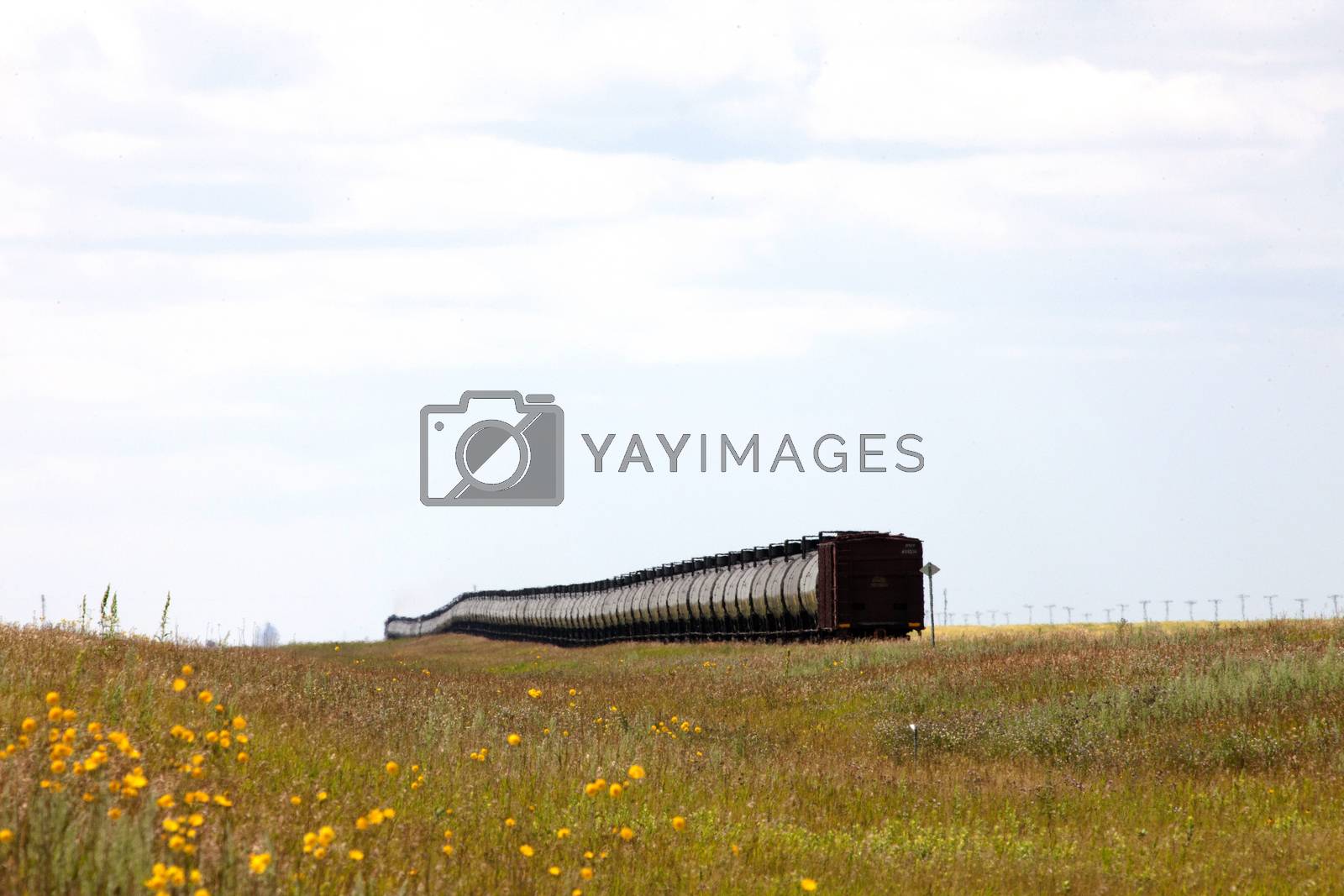 Royalty free image of Train in the Prairies by pictureguy