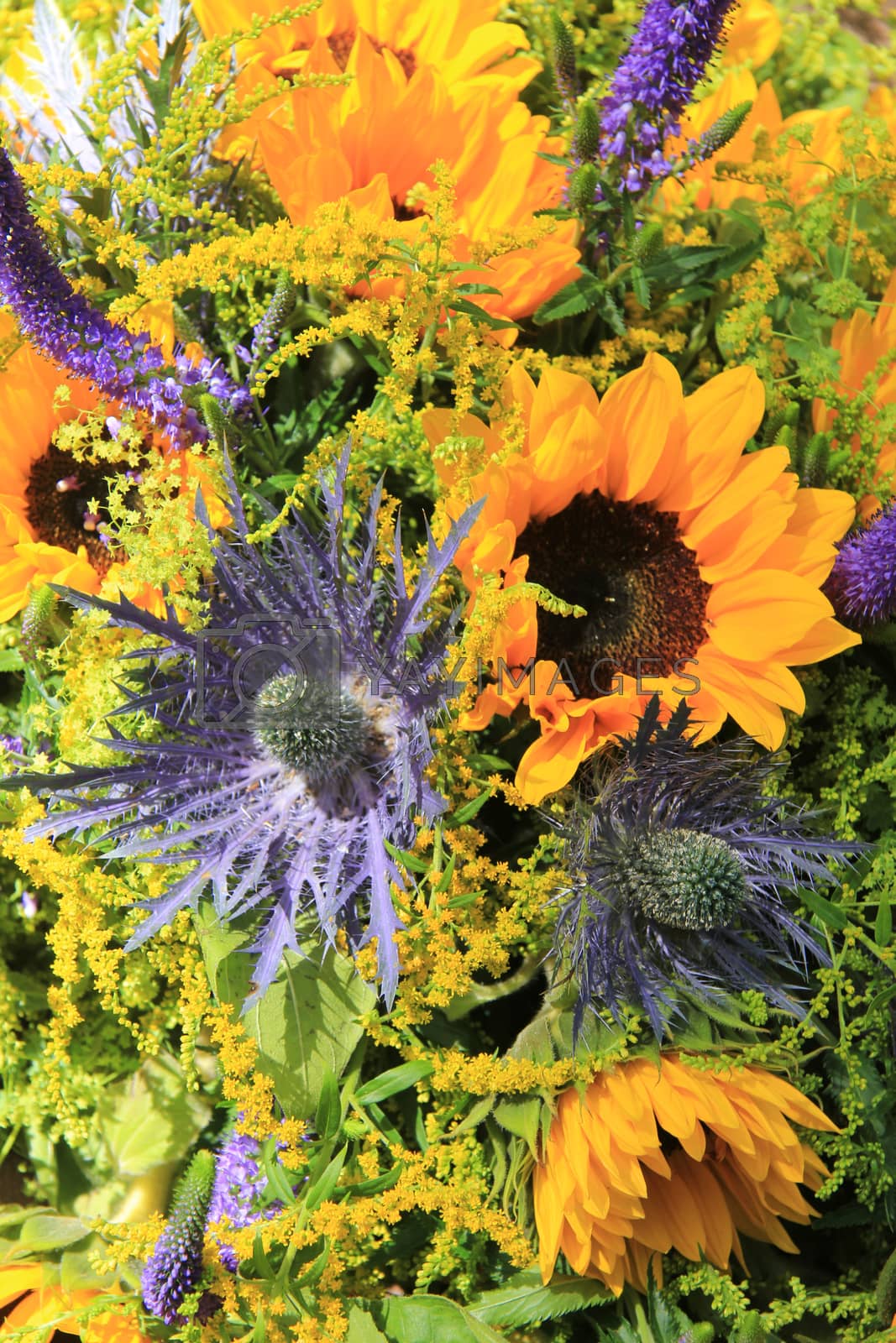 Royalty free image of Blue and yellow Sunflower arrangement, Wedding decorations by studioportosabbia