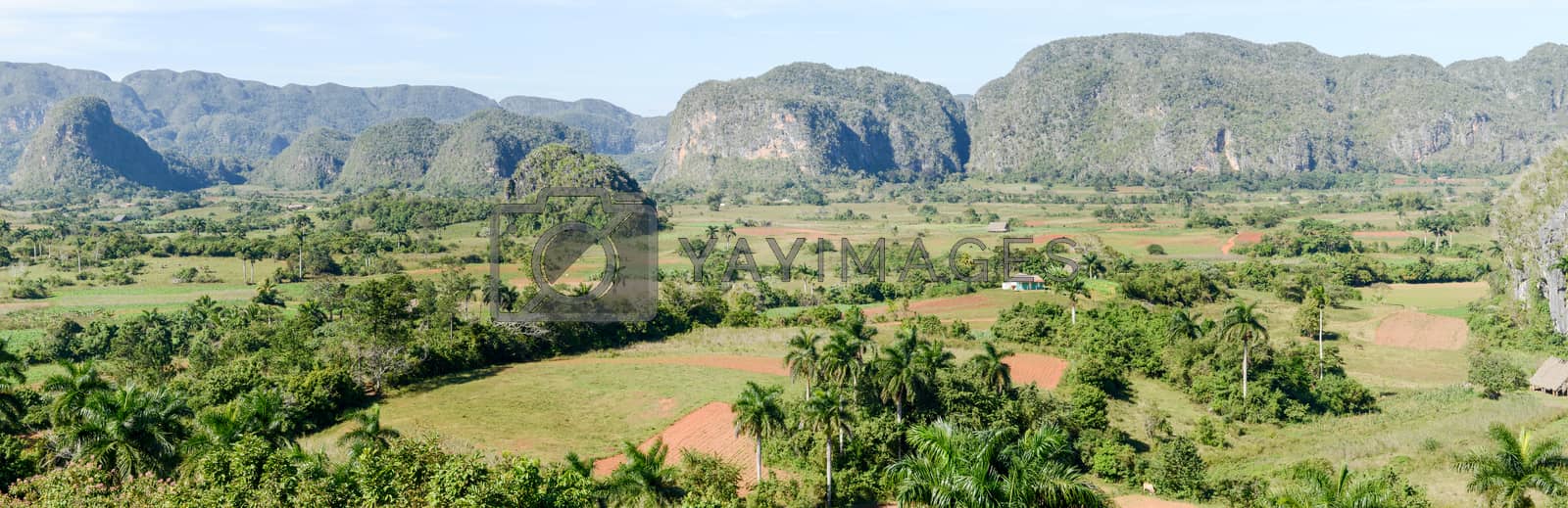 Royalty free image of Panoramic view over landscape with mogotes in Vinales Valley by Fotoember