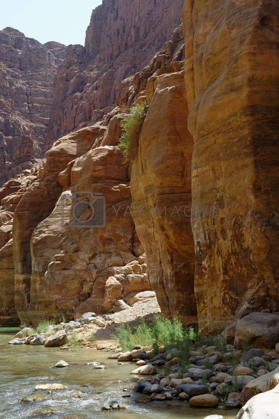 Royalty free image of Scenic cliffs of Wadi Mujib creek in Jordan by slavapolo