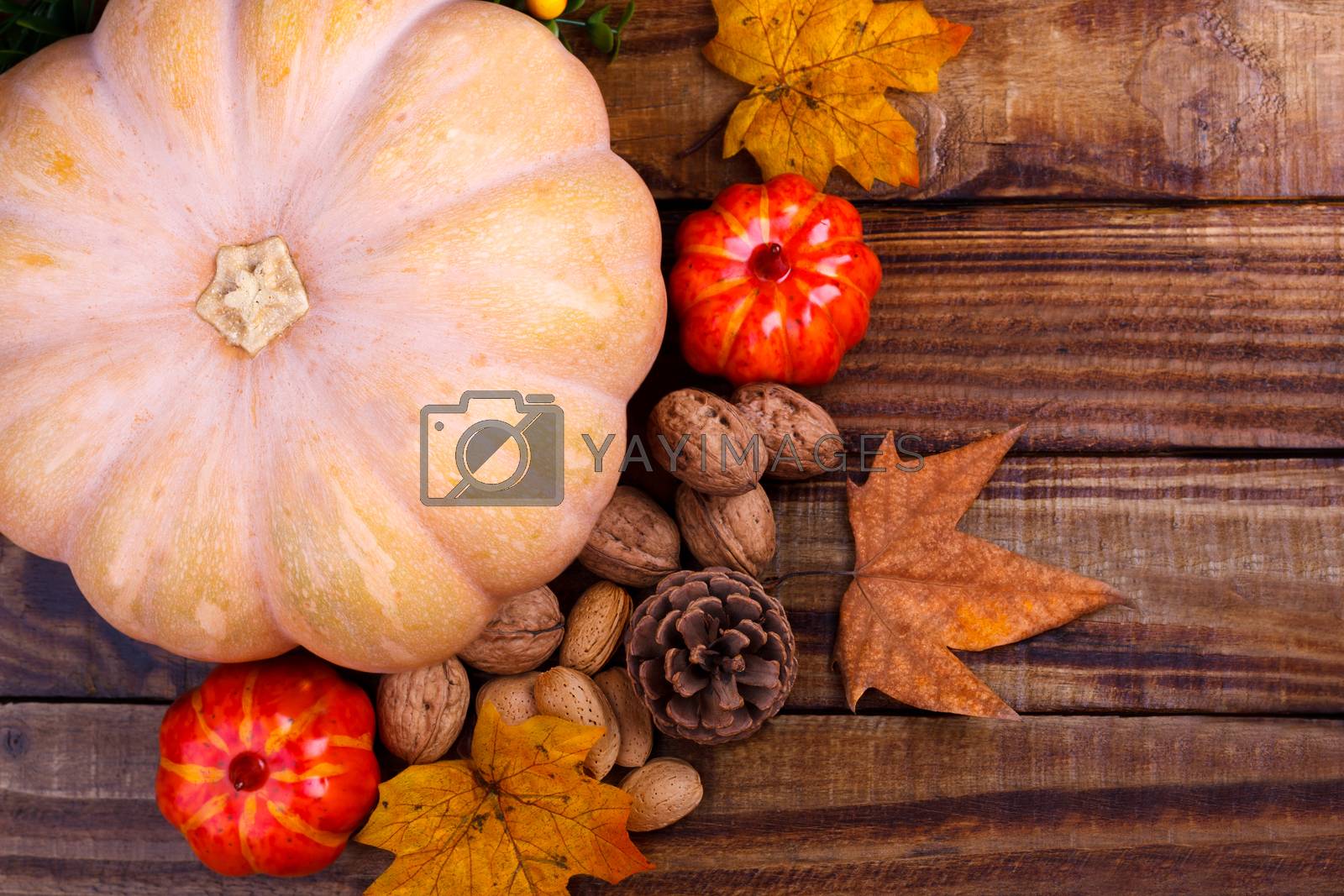 Royalty free image of Big pumpkin and nuts by Lana_M