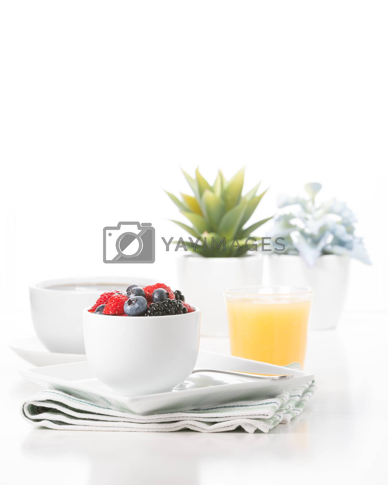 Royalty free image of Fresh Berries Portrait by billberryphotography