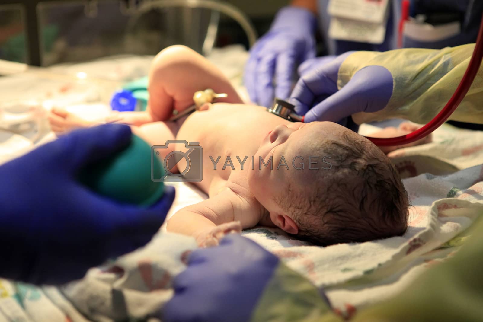 Royalty free image of Just born baby girl by friday