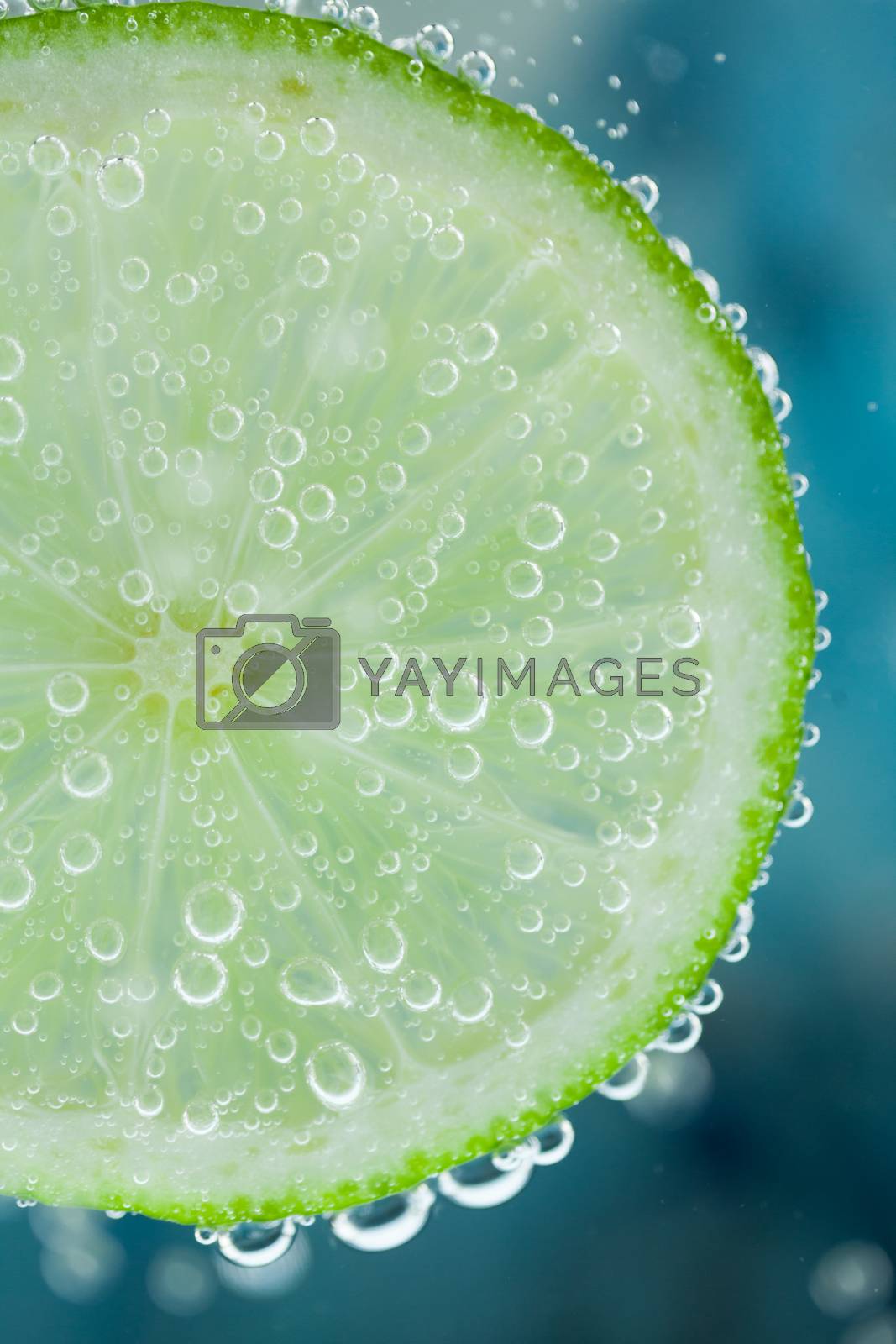 Royalty free image of Lime refresher concept by juniart