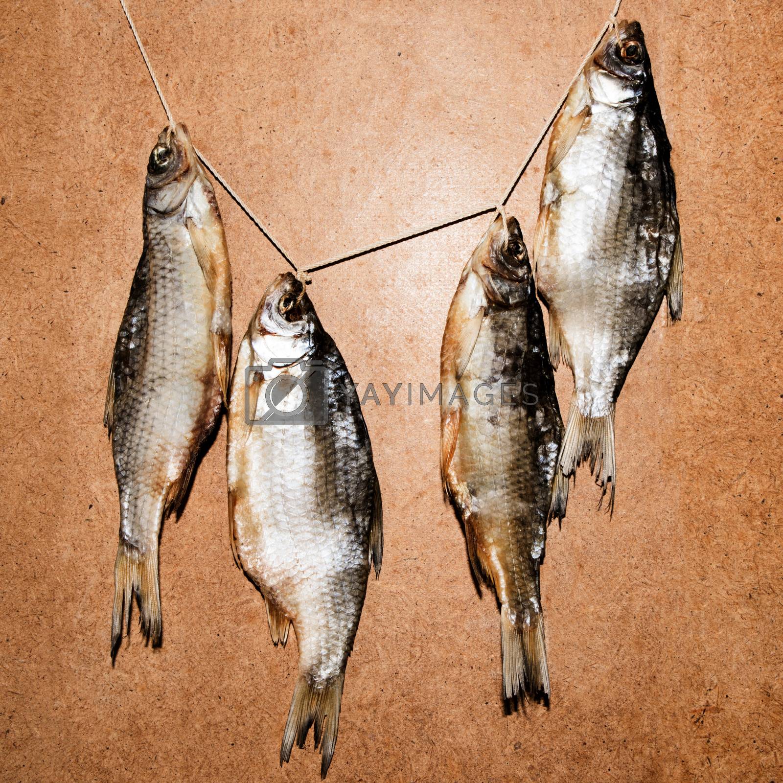Royalty free image of Dry fish isolated on a wooden background by elina_chernikova