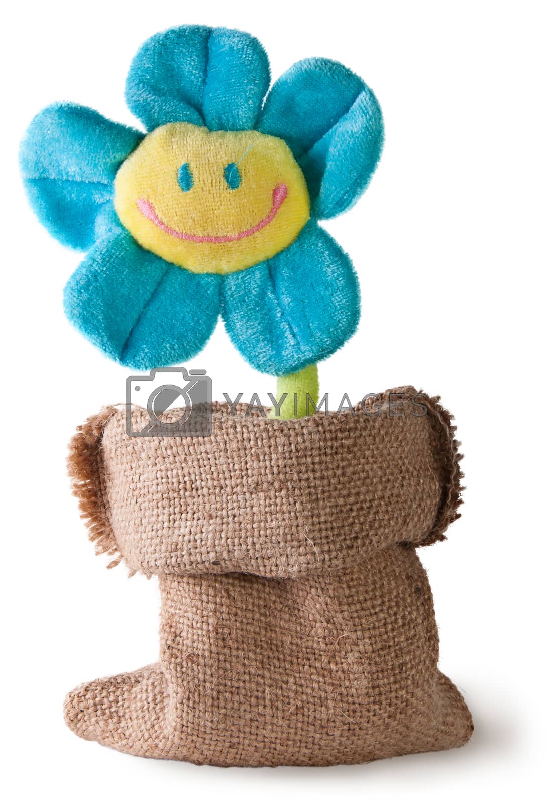 Royalty free image of Plush flower in sack by Cipariss