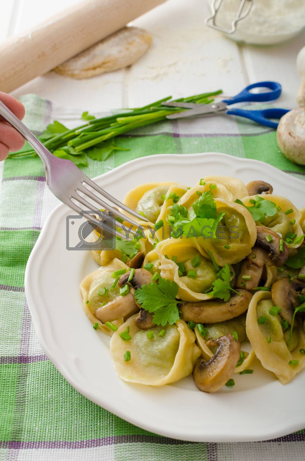 Royalty free image of Homemade tortellini with mushrooms and herbs by Peteer