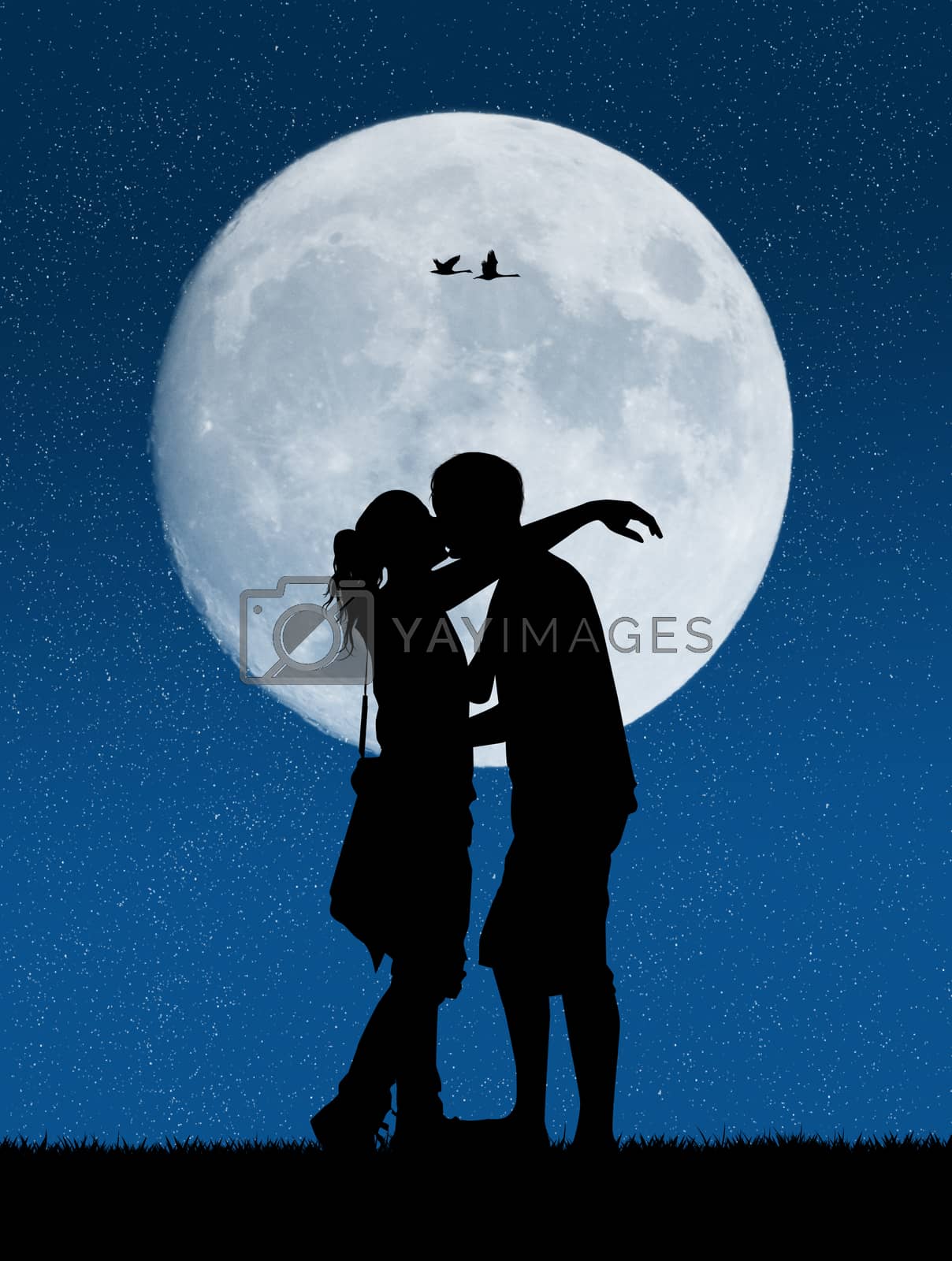 Royalty free image of Lovers in the moonlight by adrenalina