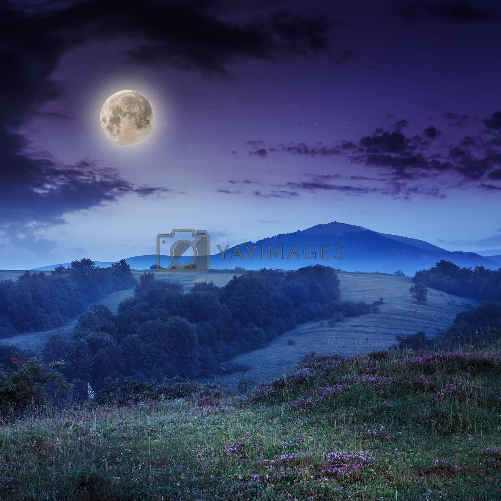 Royalty free image of cold fog on hot sunrise in mountains at night by Pellinni
