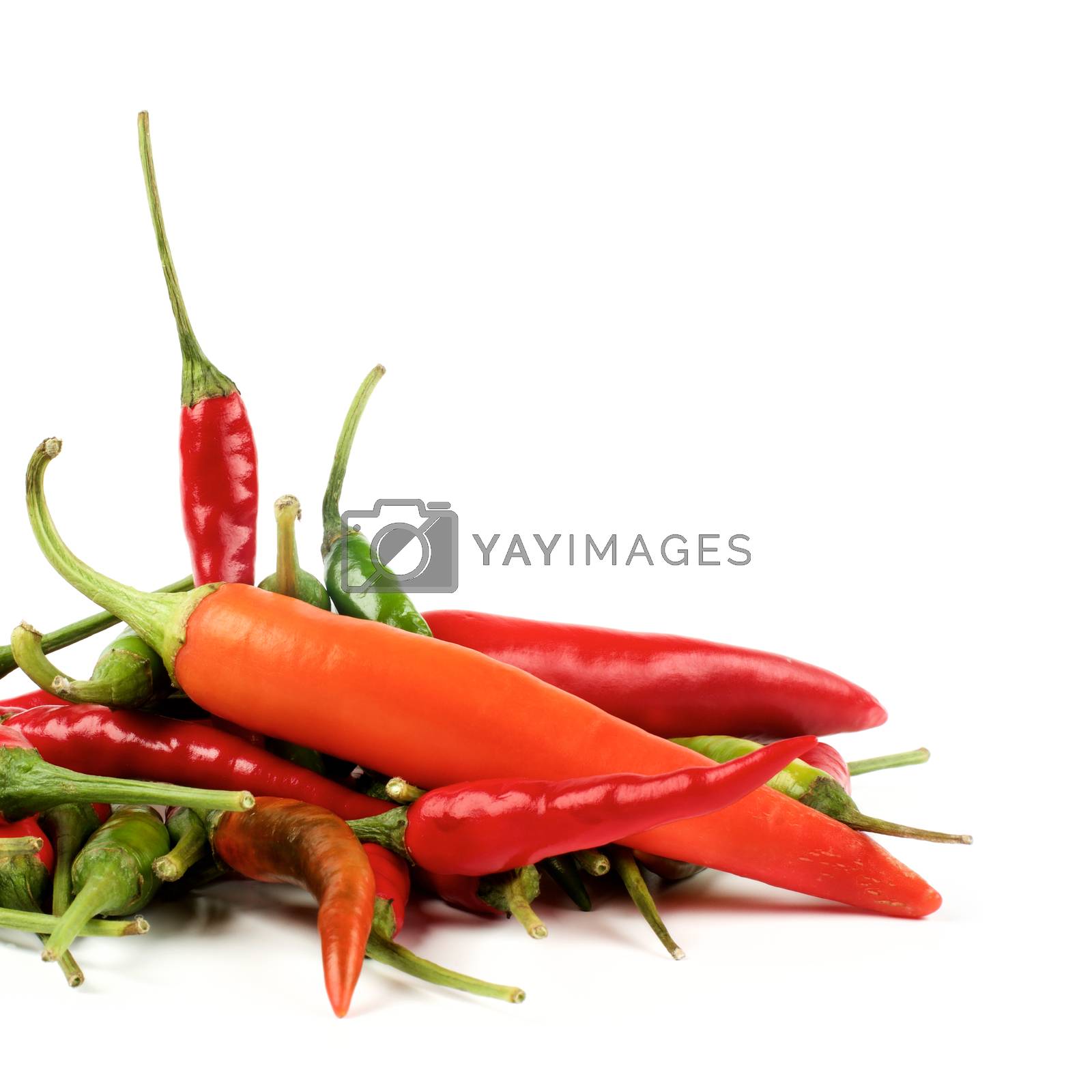 Royalty free image of Heap of Chili Peppers by zhekos