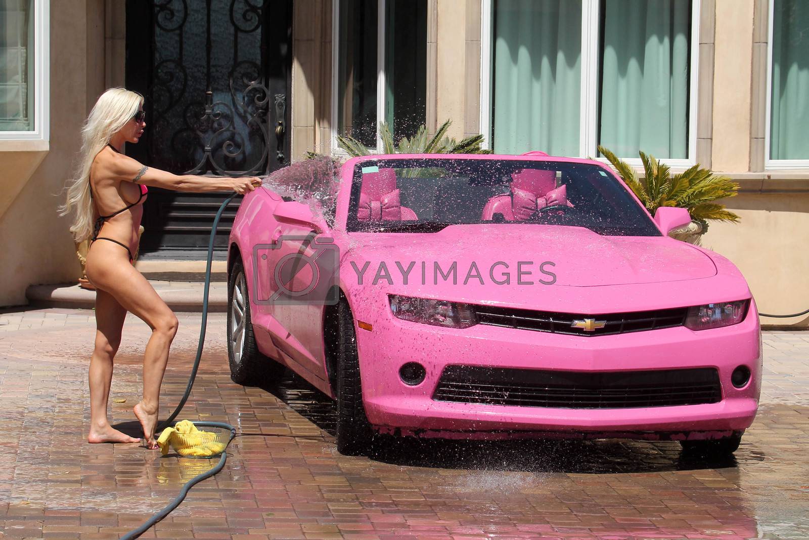 Royalty free image of Frenchy Morgan the "Celebrity Big Brother" Star is spotted on a hot day wearing a tiny pink bikini while washing her pink car in Malibu, CA 05-22-17/ImageCollect by ImageCollect