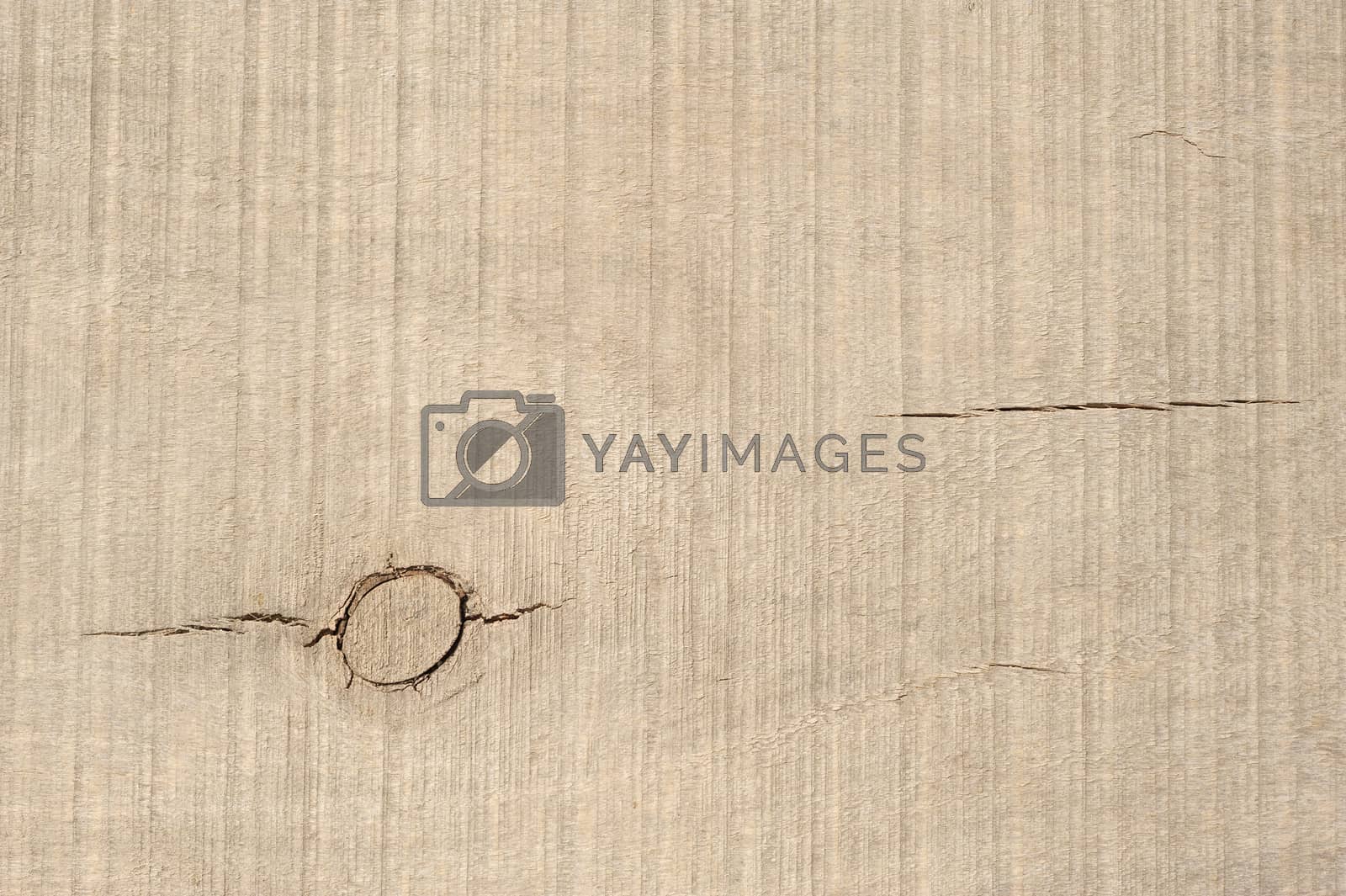 Royalty free image of Sawn wood planks, texture with natural pattern by starush