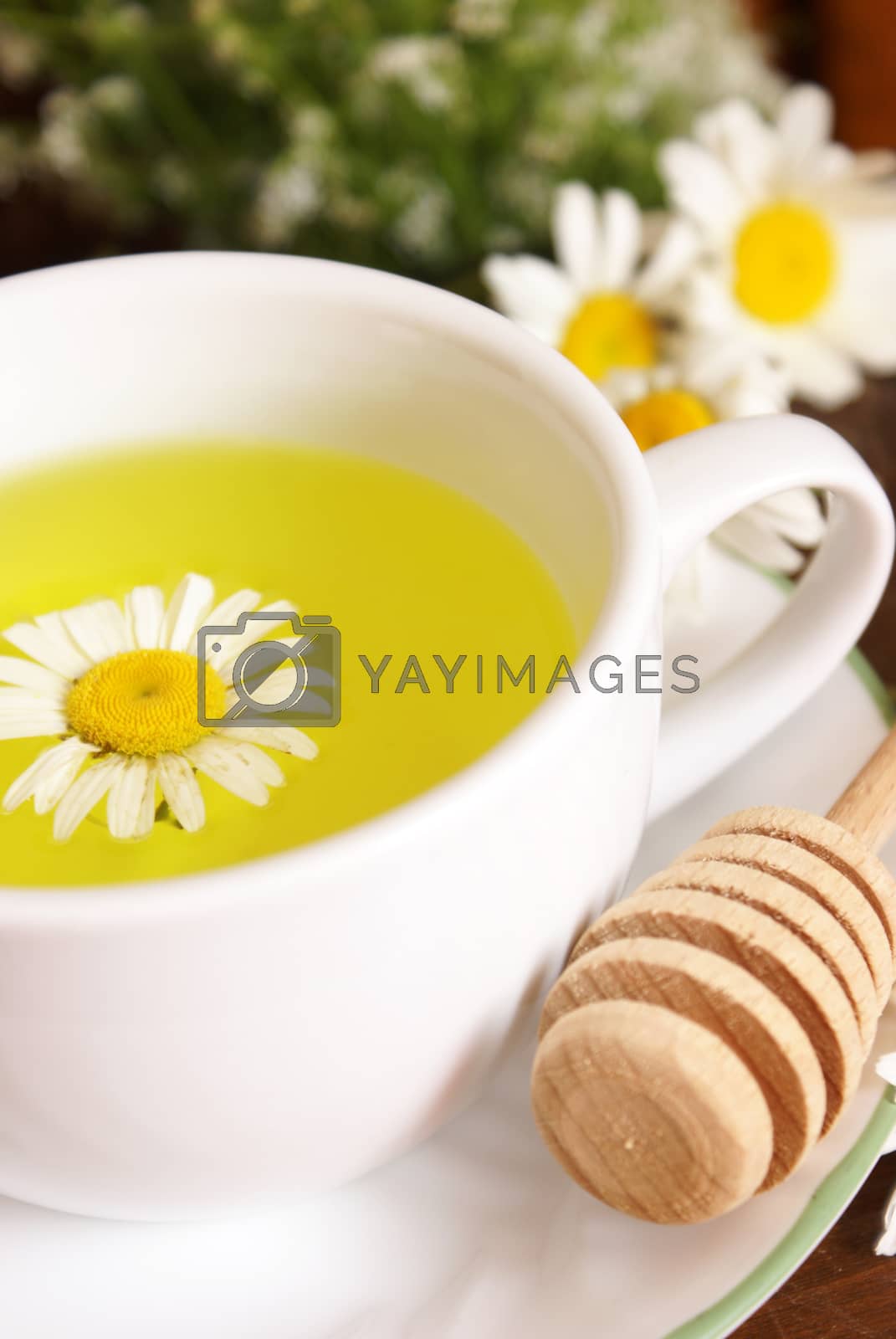 Royalty free image of Chamomile Tea And Honey by AlphaBaby