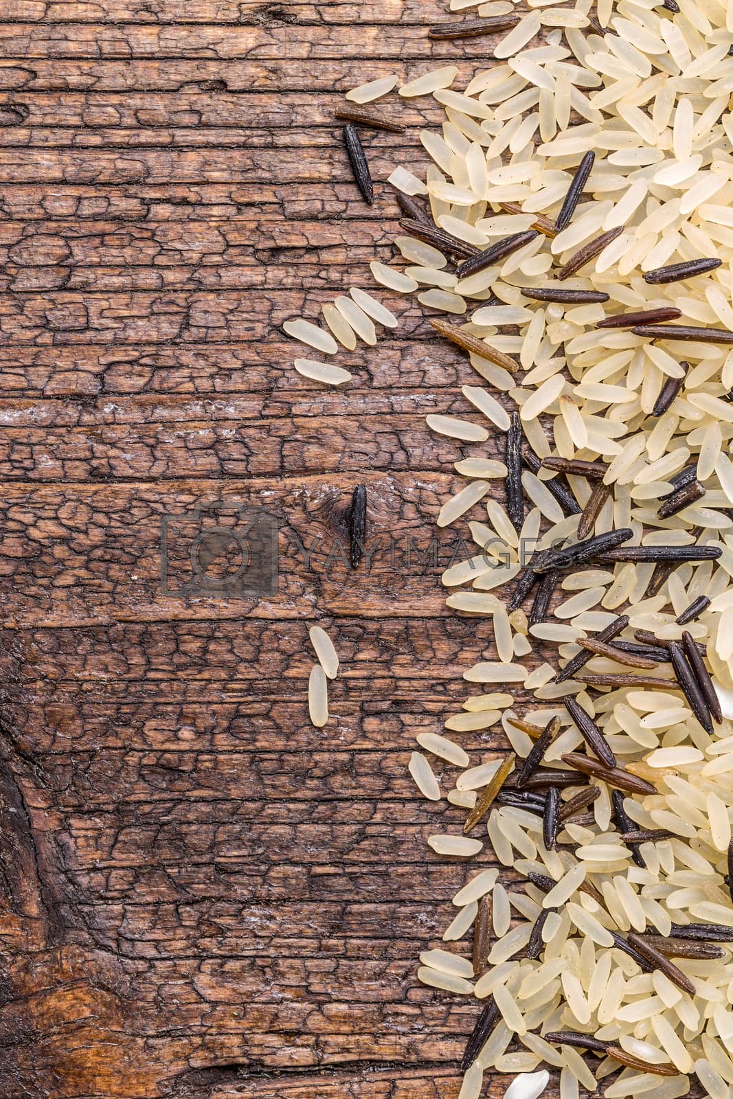 Royalty free image of Rice by grafvision