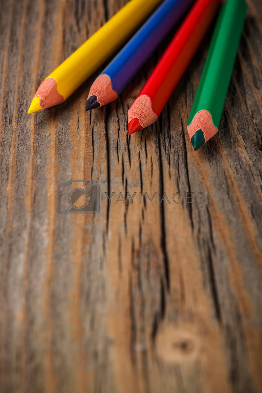 Royalty free image of Colour pencils by grafvision