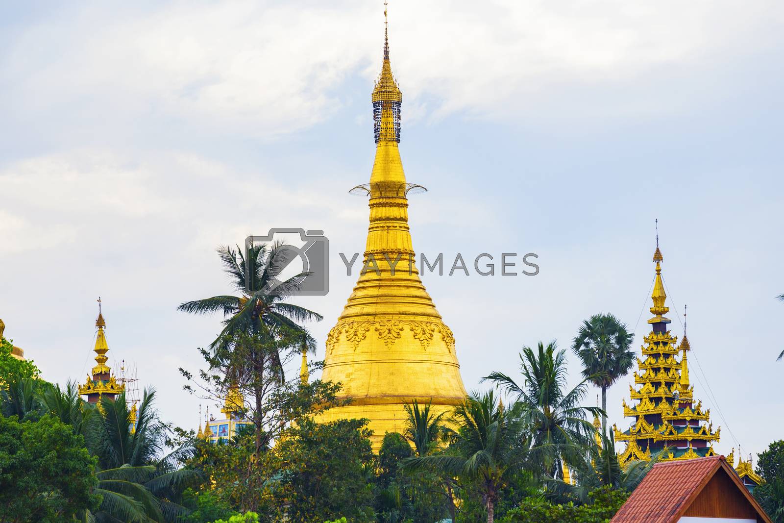 Royalty free image of Shwedagon Pagoda of Myanmar by cozyta