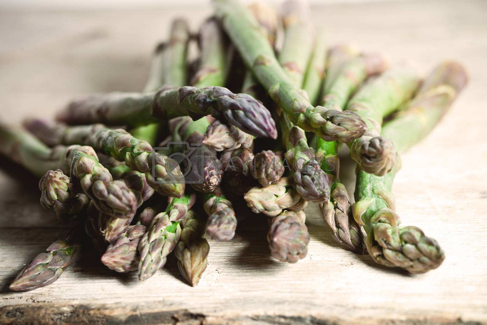 Royalty free image of fresh asparagus  by marylooo