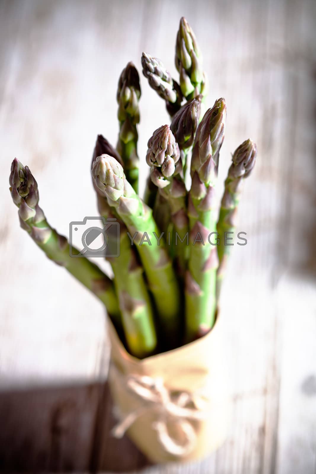 Royalty free image of fresh asparagus by marylooo