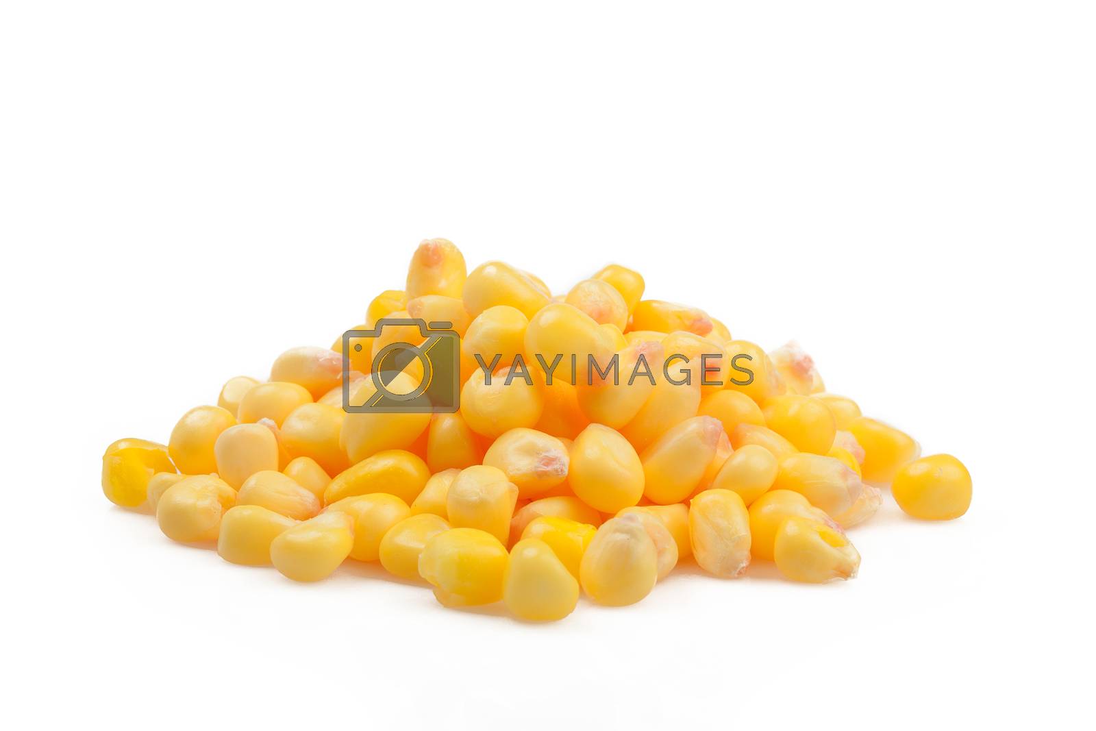 Royalty free image of Sweet whole kernel corn by ivo_13