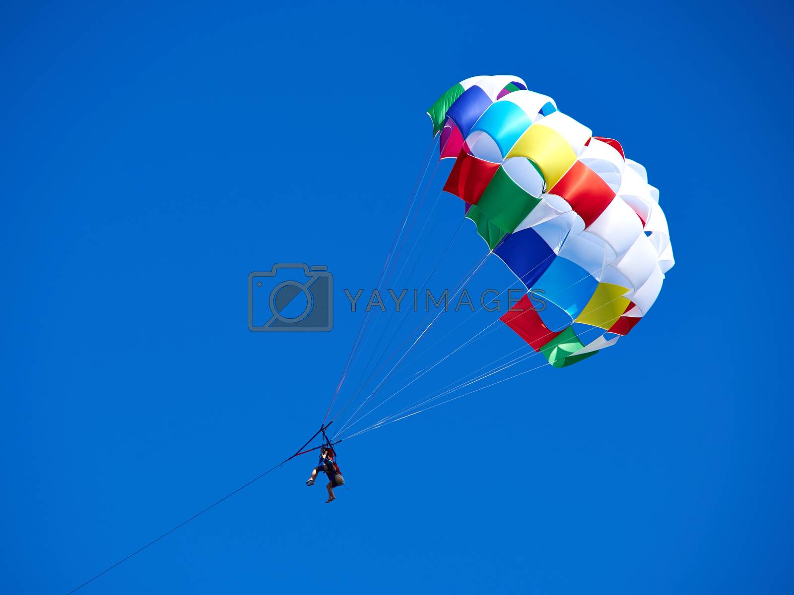 Royalty free image of Parasailing popular vacation activity in summer resorts  by Ronyzmbow