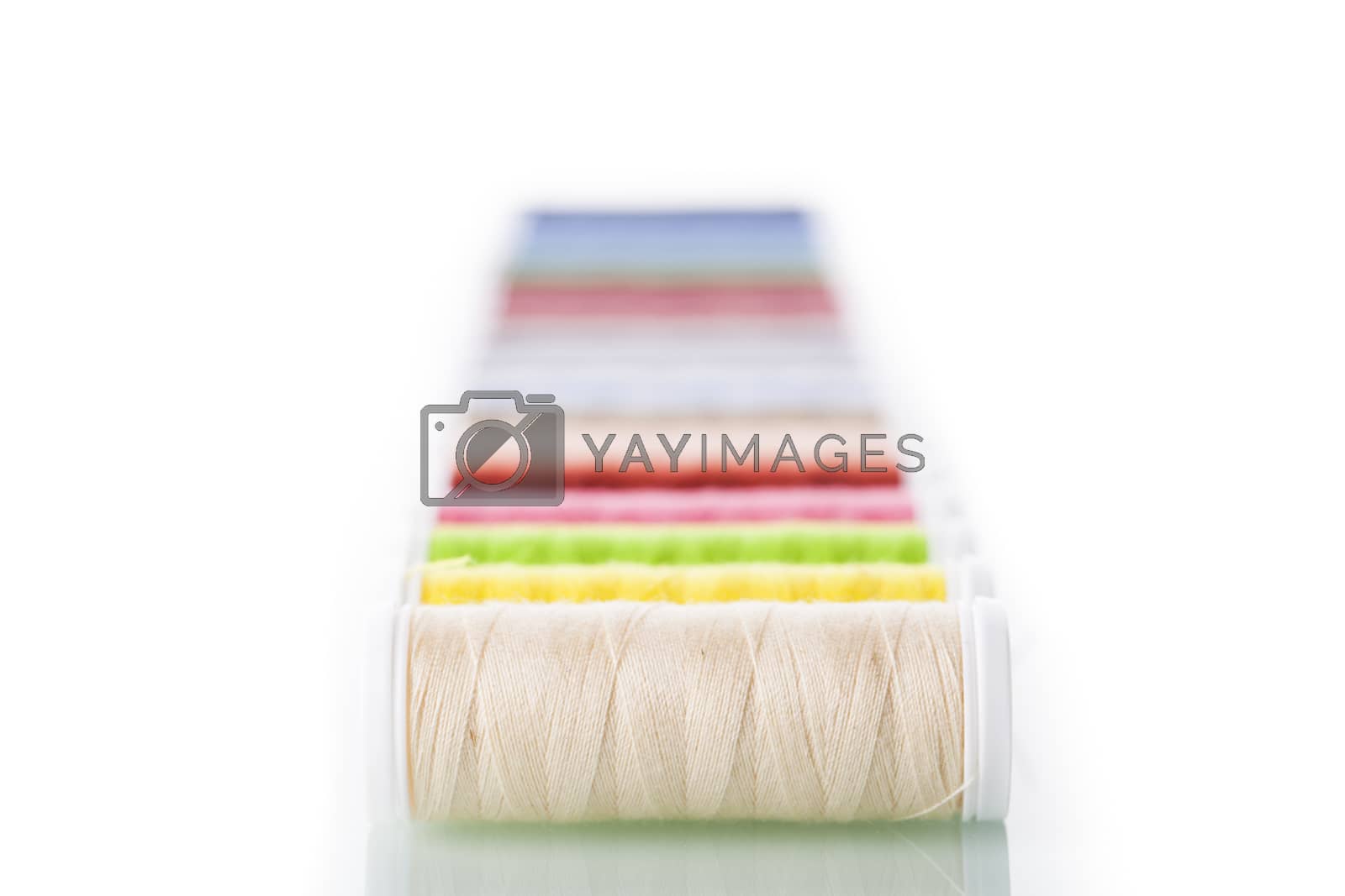 Royalty free image of Sewing equipment and  threads on white background. by fikmik