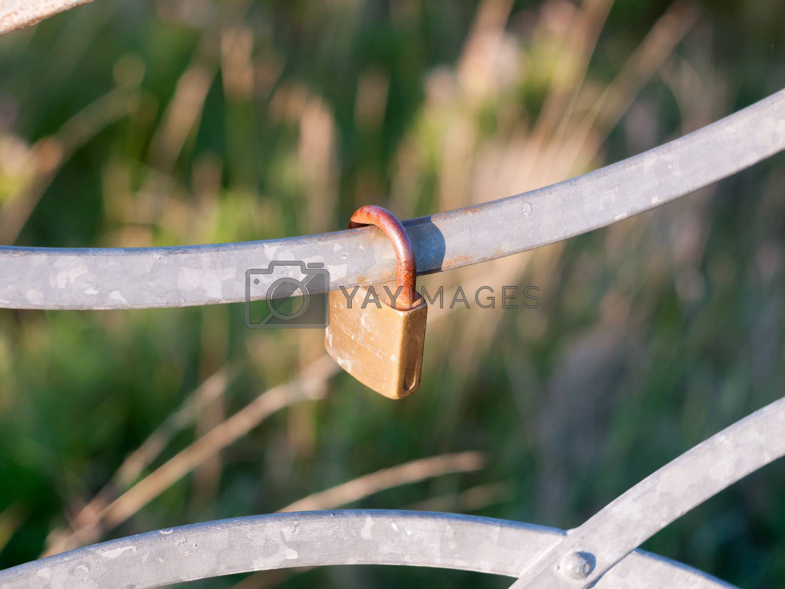 Royalty free image of an old locked metal padlock outside on rail by callumrc